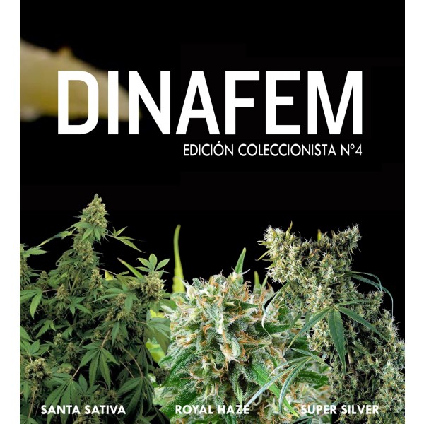 Dinafem collector #4 6 seeds - DINAFEM SEEDS