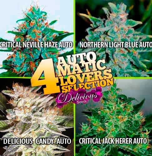4 Automatic Lovers Selection - All Products - Root Catalog