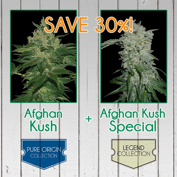 Afghan Kush Pack - Feminized - SPECIAL COLLECTIONS - WORLDOFSEEDS