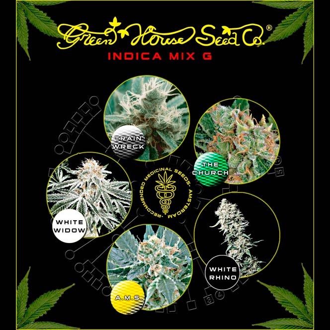 Indica Mix G - Collections - GREENHOUSE