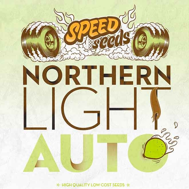 NORTHERN LIGHT AUTO - SPEED SEEDS