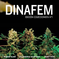 Purchase Dinafem collector #1 6 seeds