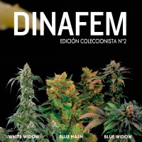 Purchase Dinafem collector #2 6 seeds