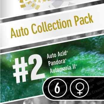 Auto Collection pack #2 - PARADISE SEEDS FEMINIZADAS