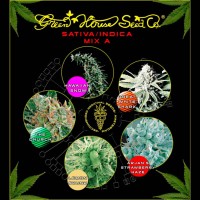Purchase Sativa / Indica Mix A