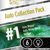 Purchase AUTO COLLECTION PACK #1 