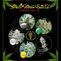 Purchase Indica Mix G