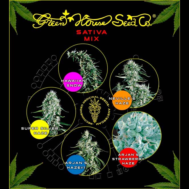 Sativa Mix - Collections - GREENHOUSE