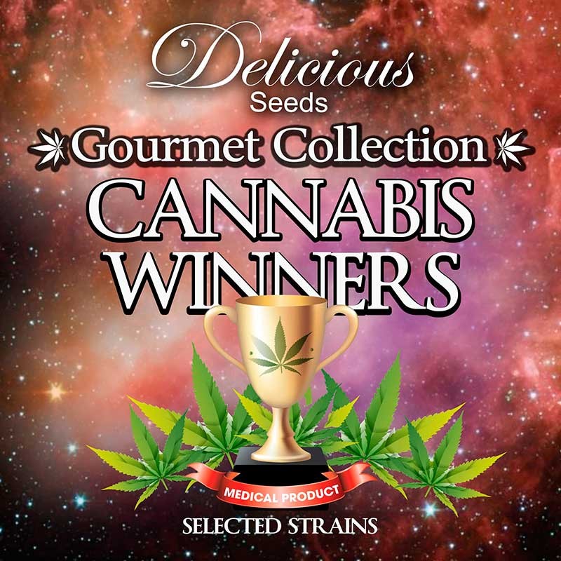 Gourmet Collection - Cannabis Winner Strains - GOURMET COLLECTION - DELICIOUS SEEDS
