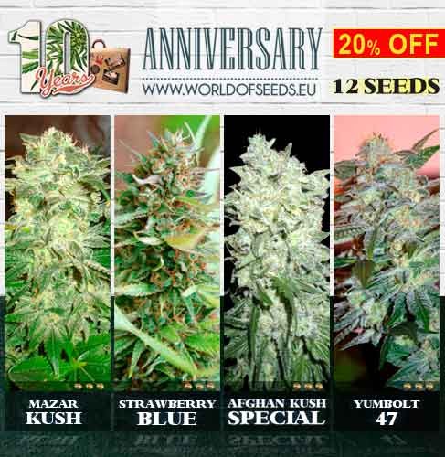 10th Anniversary Pack - SPECIAL COLLECTIONS - WORLDOFSEEDS