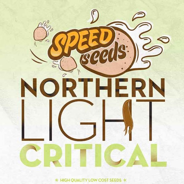 NORTHERN LIGHT X CRITICAL - SPEED SEEDS