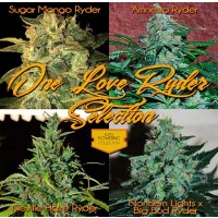 Purchase Automatic One Love Selection