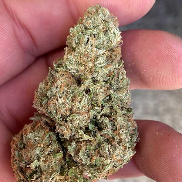 kush picture this