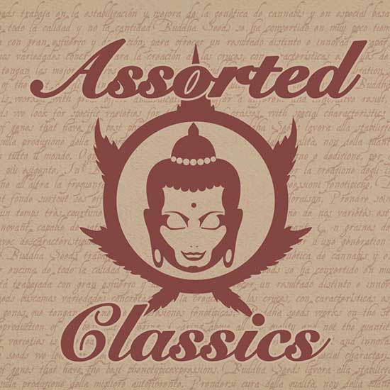ASSORTED CLASSICS - 10 seeds - BUDDHA SEEDS
