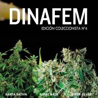 Purchase Dinafem collector # 4 6 graines