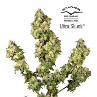 Purchase Ultra Skunk