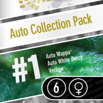 AUTO COLLECTION PACK #1  - Todos os produtos - Root Catalog