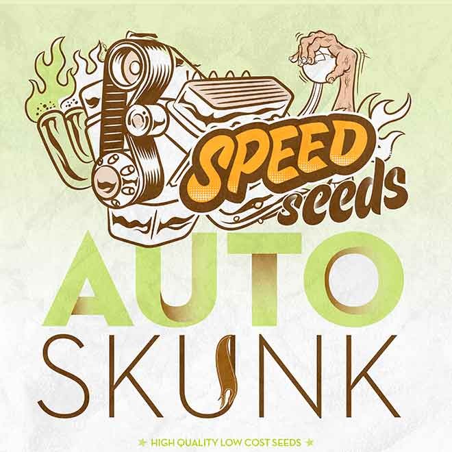 SKUNK AUTO (SPEED SEEDS) - Todos os produtos - Root Catalog