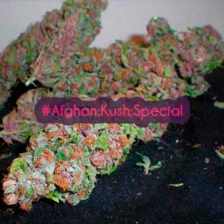 Afghan Kush Special